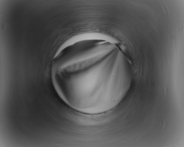 X0000088490035200706191432