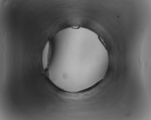 X0000088490037200706191432