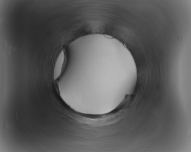 X0000088490039200706191432
