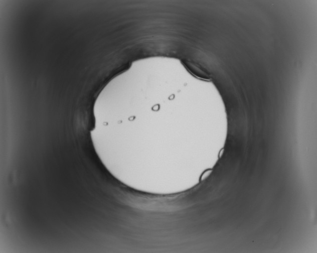 X0000088490040200706191432