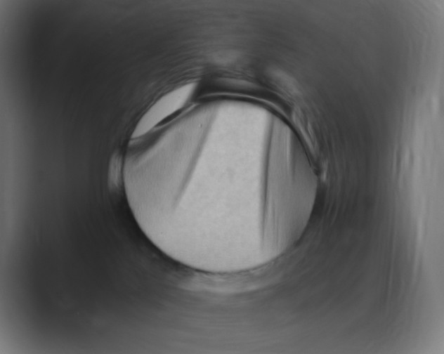 X0000088490041200706191432