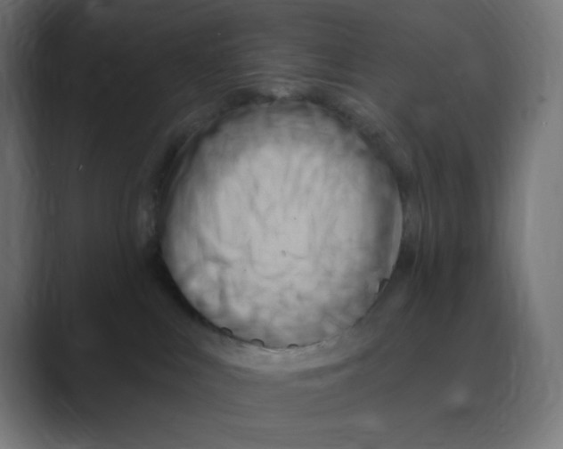 X0000088490043200706191432