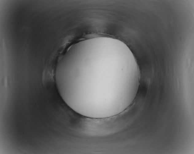 X0000088490045200706191432
