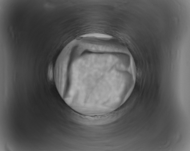 X0000088490046200706191432