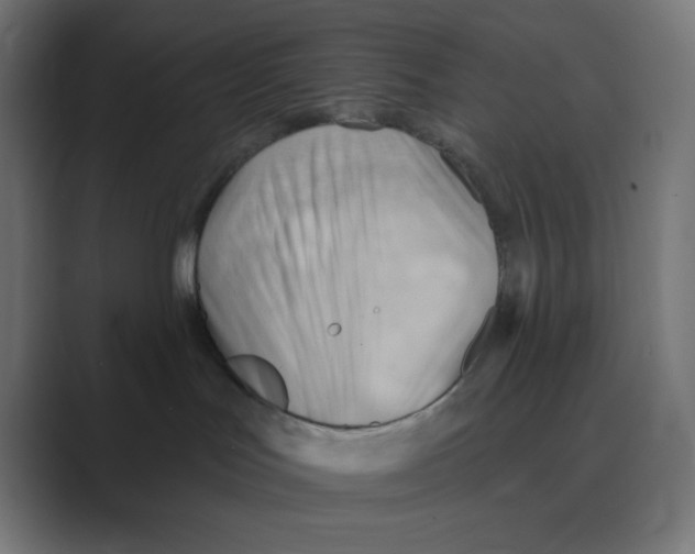 X0000088490047200706191432