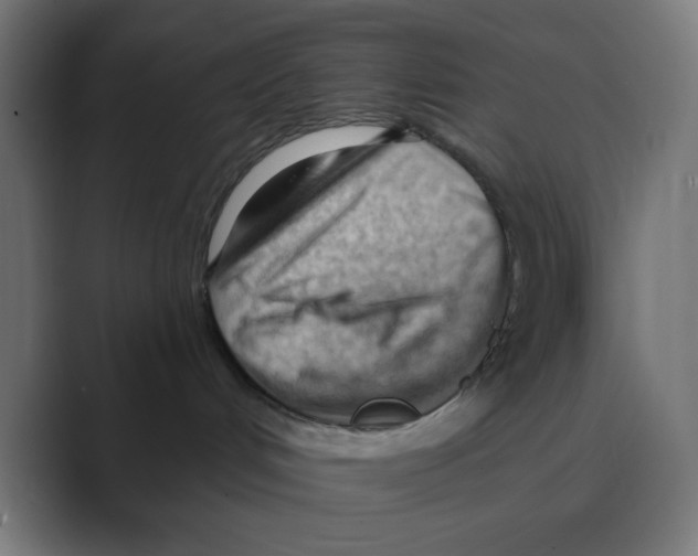 X0000088490048200706191432