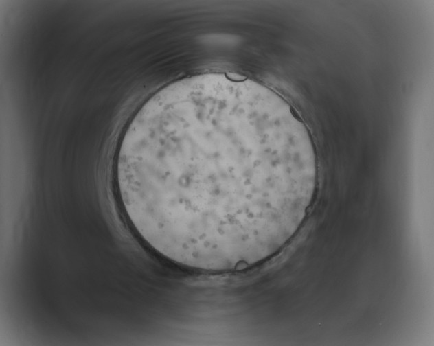 X0000088490049200706191432