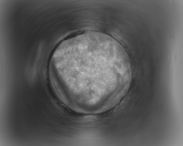 X0000088490050200706191432