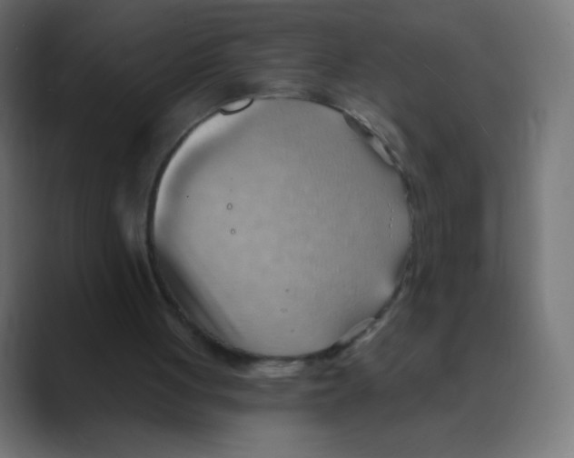 X0000088490051200706191432