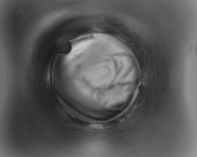 X0000088490052200706191432
