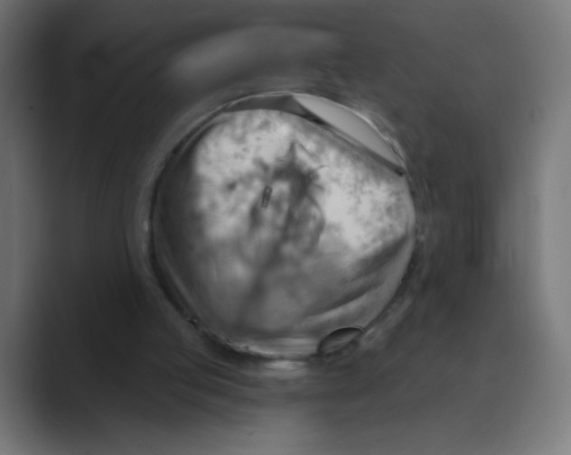X0000088490053200706191432