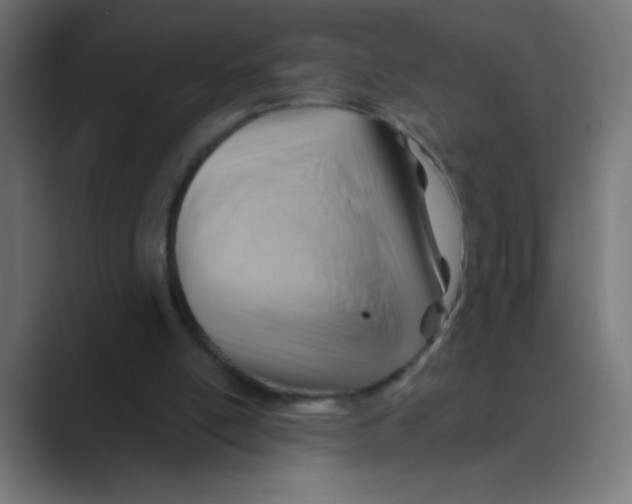 X0000088490054200706191432