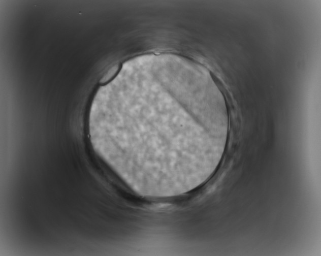 X0000088490055200706191432