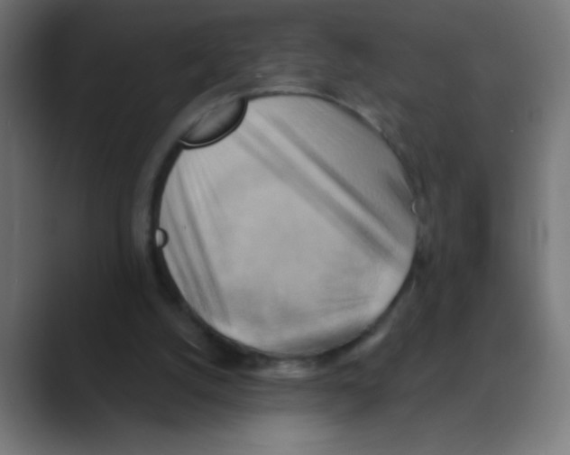 X0000088490056200706191432