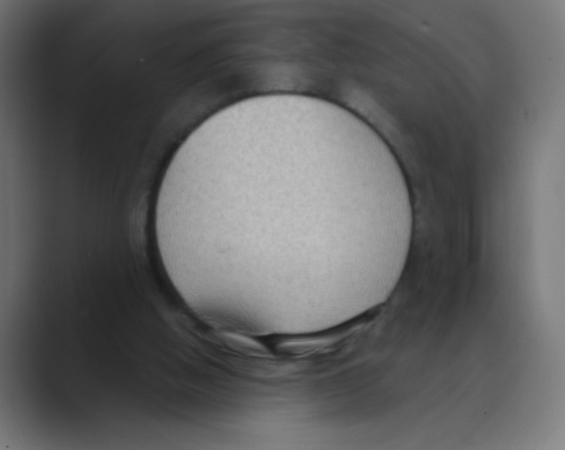 X0000088490058200706191432