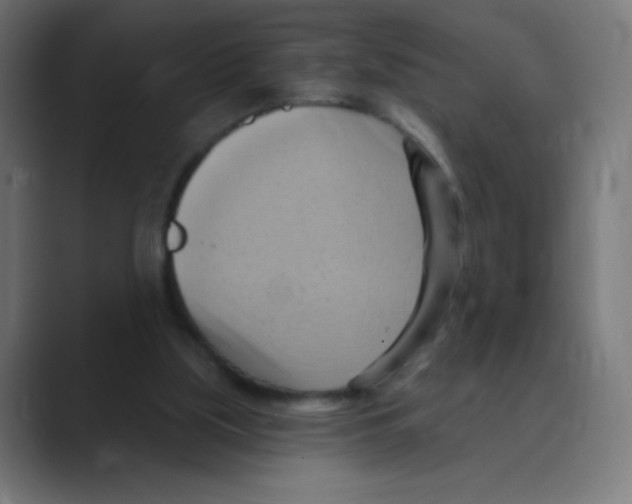 X0000088490059200706191432