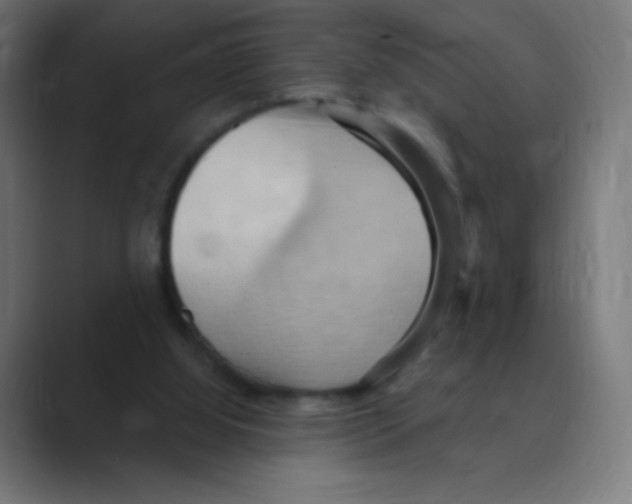 X0000088490060200706191432