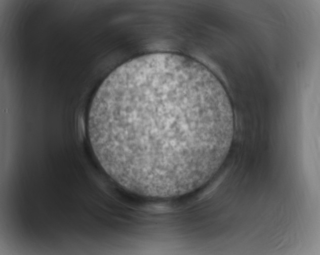 X0000088490061200706191432