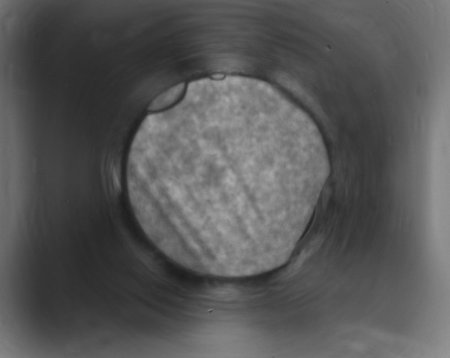 X0000088490062200706191432