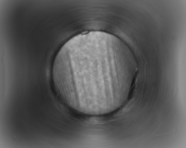 X0000088490064200706191432