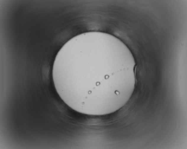 X0000088490066200706191432