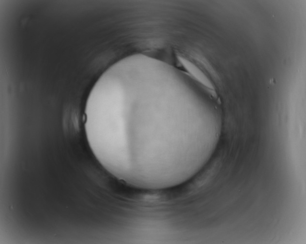 X0000088490068200706191432
