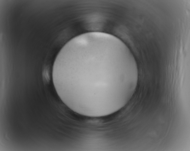 X0000088490069200706191432
