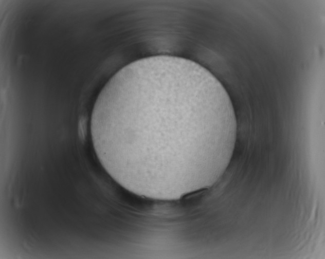 X0000088490070200706191432
