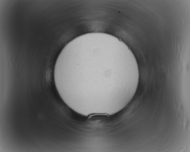 X0000088490071200706191432