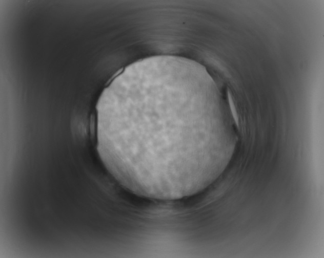X0000088490072200706191432