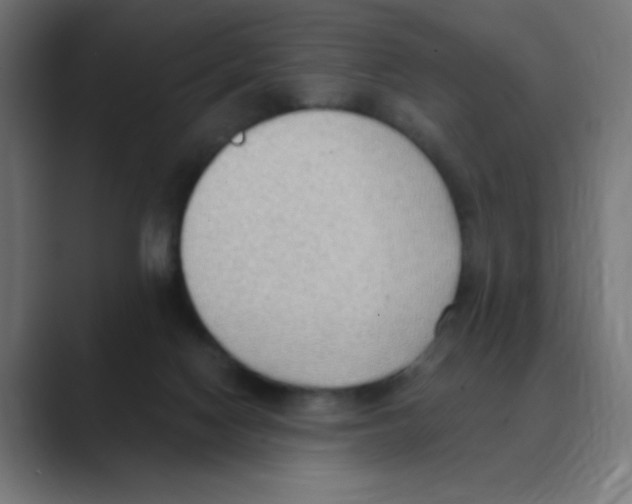 X0000088490074200706191432