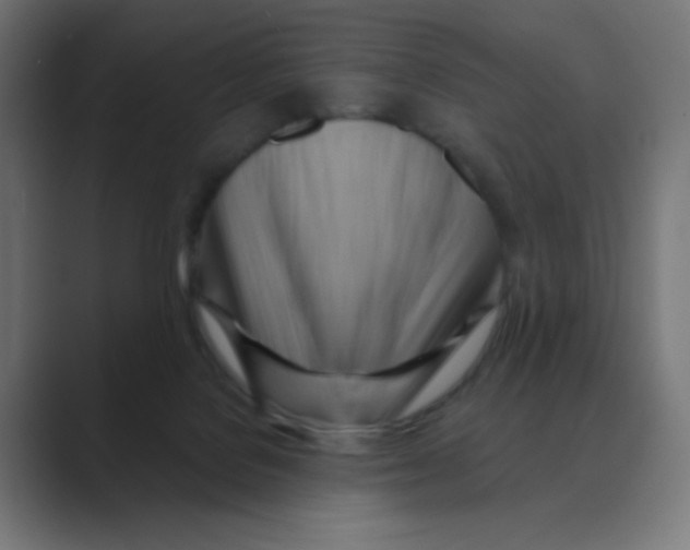 X0000088490076200706191432