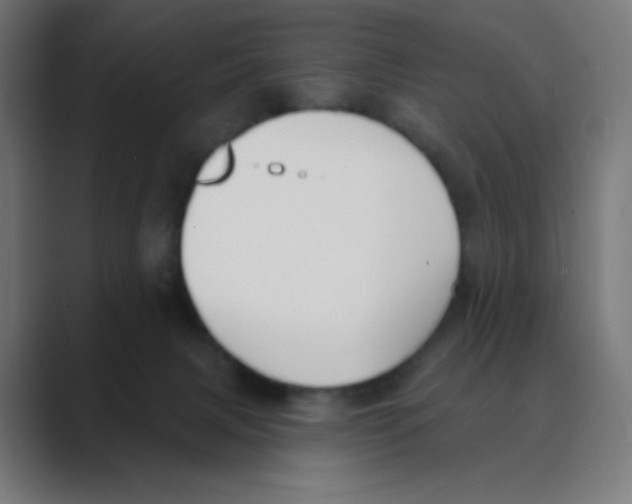 X0000088490079200706191432