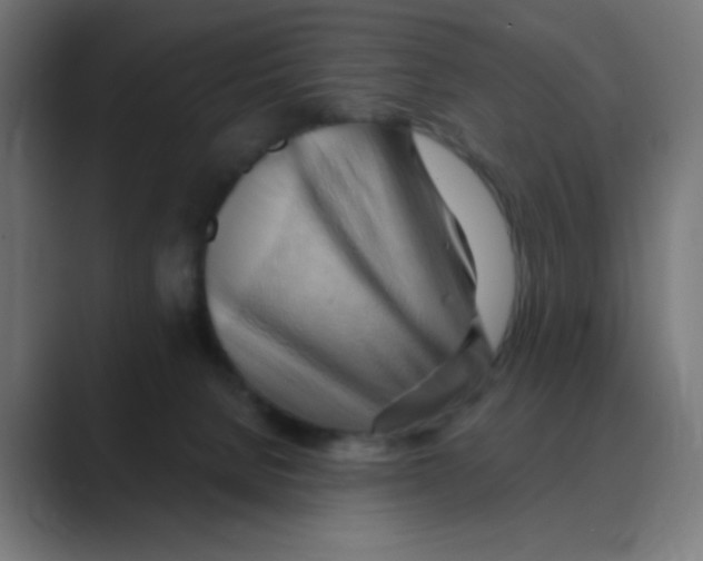 X0000088490080200706191432