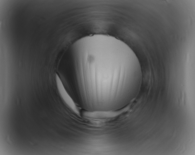 X0000088490084200706191432