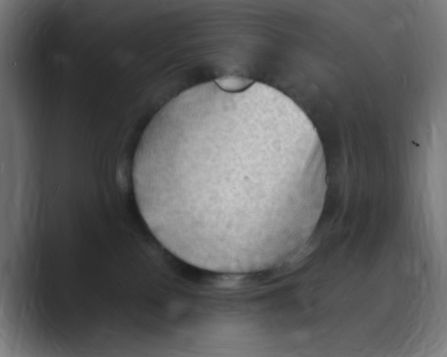 X0000088490090200706191432