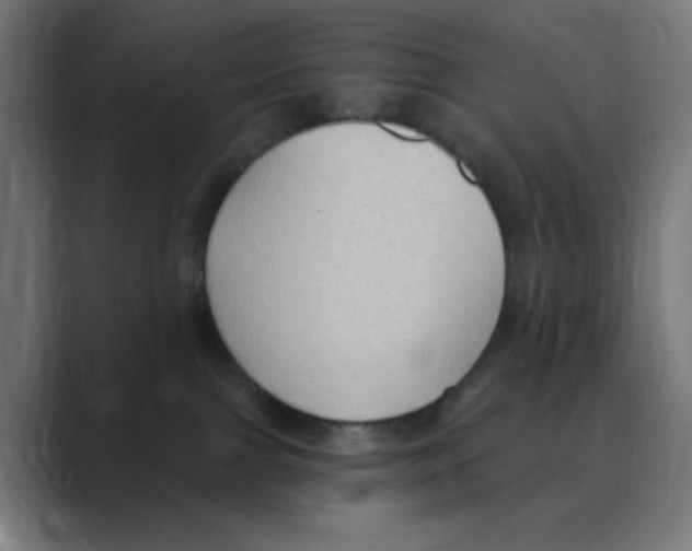 X0000088490091200706191432