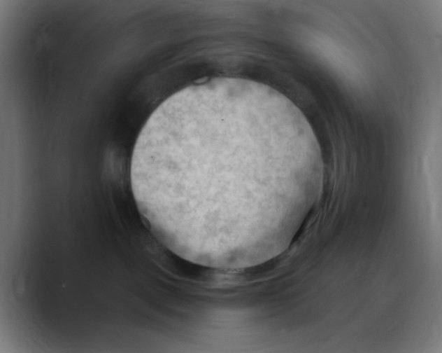 X0000088490093200706191432