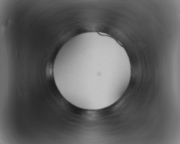 X0000088490095200706191432