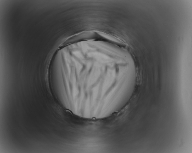 X0000088490099200706191432