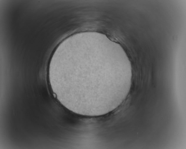 X0000088490100200706191431