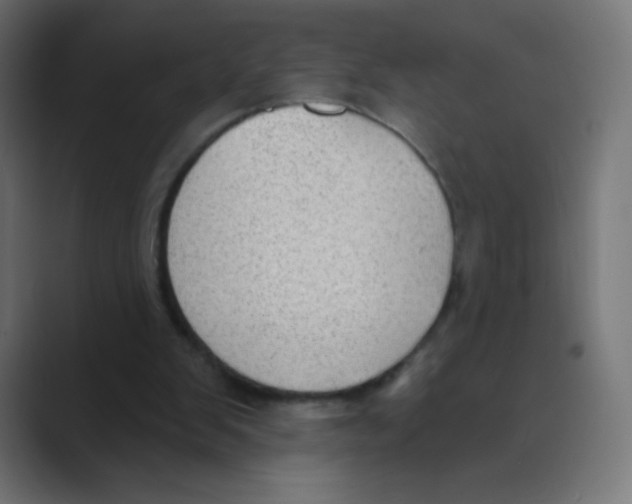 X0000088490103200706191431
