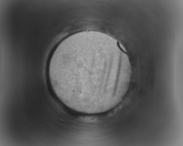 X0000088490104200706191431
