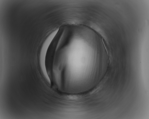 X0000088490105200706191431