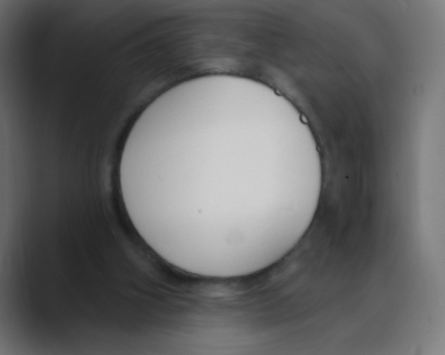 X0000088490106200706191431
