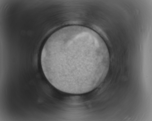 X0000088490108200706191431