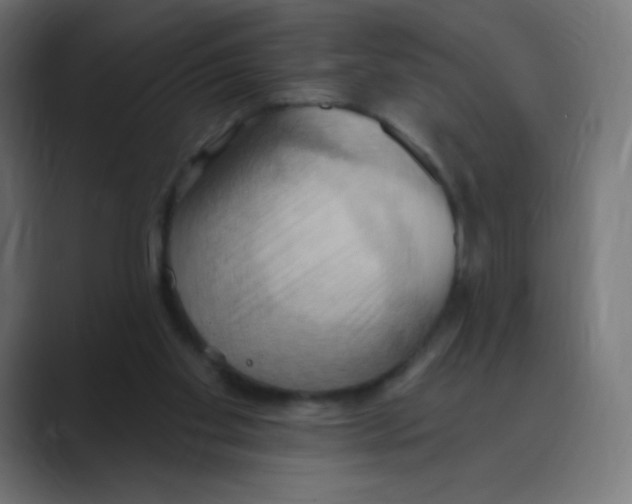 X0000088490109200706191431