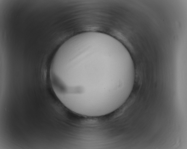 X0000088490110200706191431