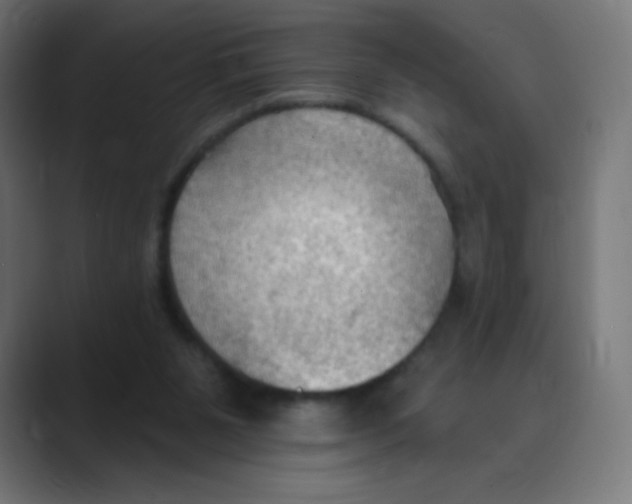 X0000088490111200706191431