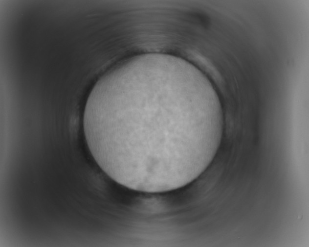 X0000088490113200706191431